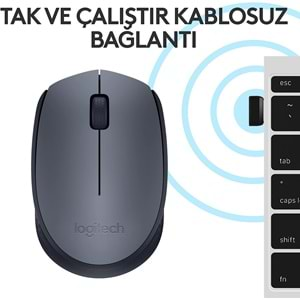 Logitech M170 USB Alıcılı Kablosuz Mouse, Gri